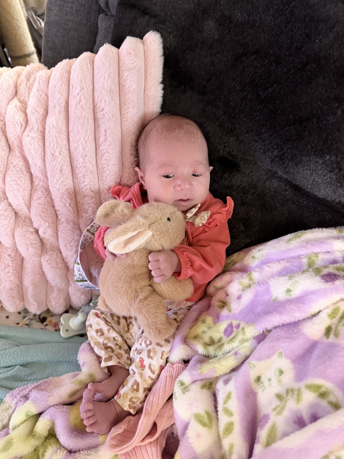 Sylvia in her car bed seat, ready for her first ride home